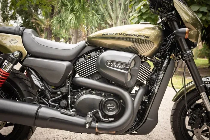Harlrey Davidson Plugs Catalog Your Ultimate Resource
